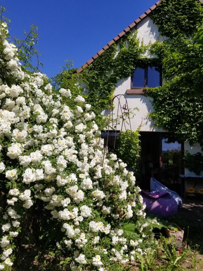 Chambre D'Hotes De Charme, Un Temps En Foret Bed & Breakfast Westhouse Exterior photo